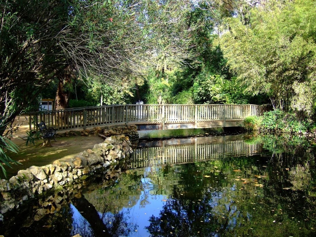 A wooden bridge over a small green pond in Sevilla.